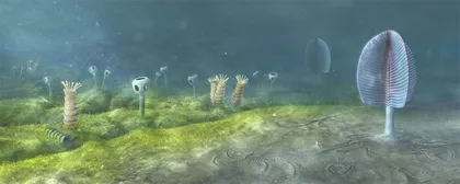 地球生命的绝境与契机1