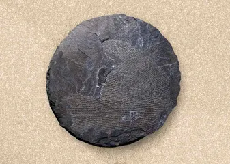 地球历史中的五次“生物大灭绝”