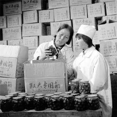 申纪兰：男女“同工同酬”先行者