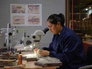 湖北鳄，生物复苏的一次失败“冒险”3