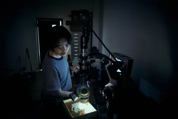 澄江动物群：劈开寒武纪的岩层6