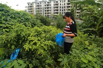 南京女孩遇害西双版纳：隐秘的杀机2
