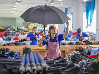 谁能活下去：重新认识中国外贸3