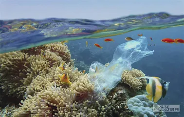 好消息·坏消息（1180）4