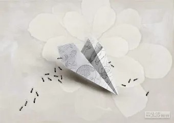 消费·理财（1181）