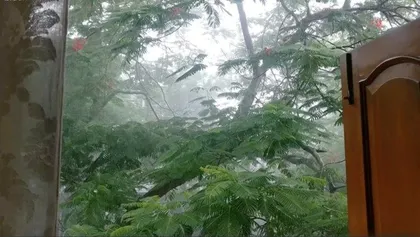 足不出户的日子，窗景即远方12