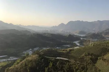 陆庆屹 | 故乡是农耕生活的挽歌，也是精神世界的出口1