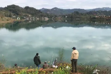 陆庆屹 | 故乡是农耕生活的挽歌，也是精神世界的出口3