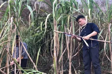 陆庆屹 | 故乡是农耕生活的挽歌，也是精神世界的出口5