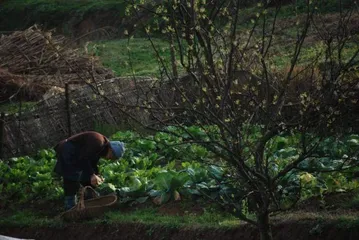 陆庆屹 | 故乡是农耕生活的挽歌，也是精神世界的出口9