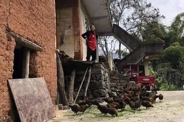 陆庆屹 | 故乡是农耕生活的挽歌，也是精神世界的出口13