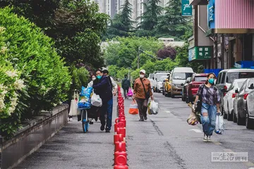 重建连接：疫情下的心理危机与救助
