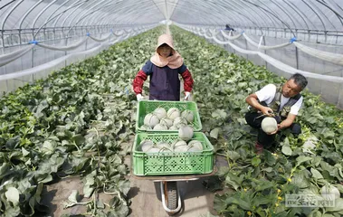 日本：超老龄化社会的冲击6