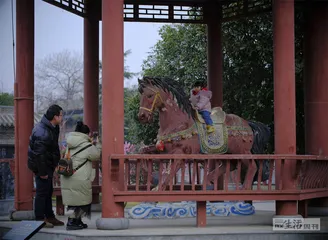 分久难合：从司马氏崛起到短暂的统一1