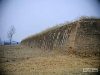 分久难合：从司马氏崛起到短暂的统一8