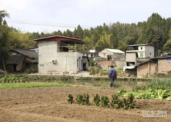 寻亲网络：孩子如何回家？6