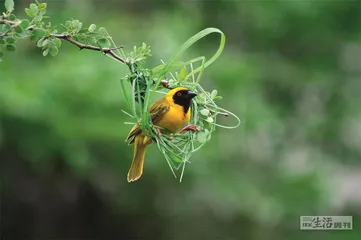 好消息·坏消息（1183）2