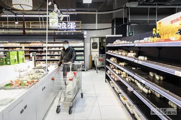 一只鸡蛋的历险记2