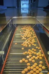 蛋的品牌化之路