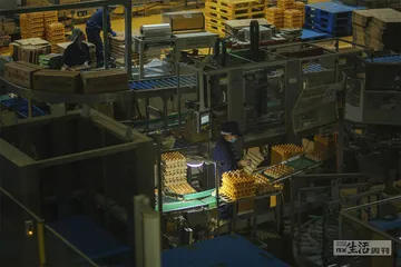 蛋的品牌化之路1
