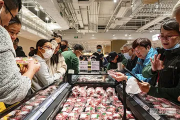 土猪供应链：“野味”工业化1