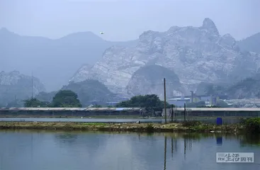 土猪供应链：“野味”工业化3