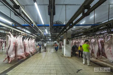 土猪供应链：“野味”工业化5