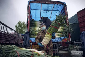 北京：大葱与茄子经历的囤菜风波