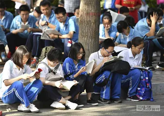如何找到理想职场11