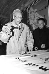 谢辰生，奔走文保的一生