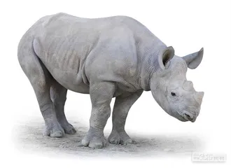 好消息·坏消息（1179）1