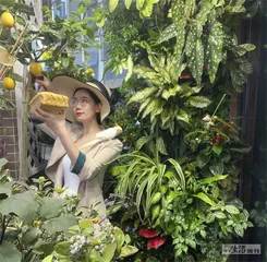 都市中的“阳台农夫”