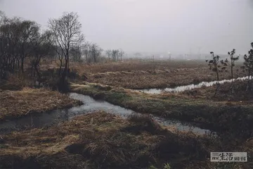 合肥：东线要冲1