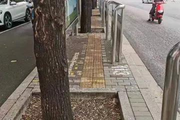 影像 | 城市的街道上，谁更重要？7