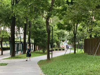 影像 | 城市的街道上，谁更重要？8