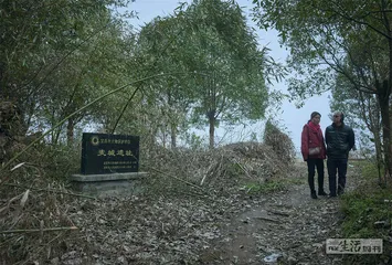 夷陵之战：三足鼎立的开始6