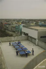 蒲公英纪事（一）：信念2