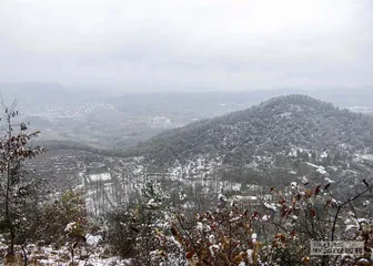 曹魏灭蜀之战：最后时刻3