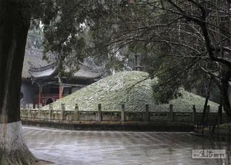 曹魏灭蜀之战：最后时刻5