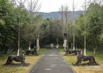 曹魏灭蜀之战：最后时刻6