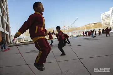 蒲公英纪事（三）：教师的修炼7