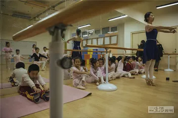 蒲公英纪事（四）：去远方2