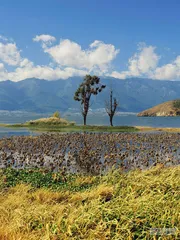 超越时代的旅行家，被“再造”的徐霞客1