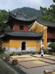 天台小记：游山则情满于山1