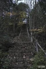 何以“登黄山天下无山”？1