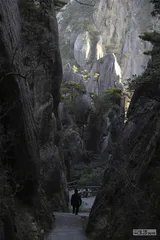 何以“登黄山天下无山”？2