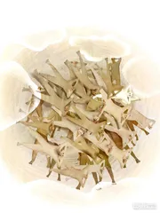 年度生活方式：逃离倦怠3