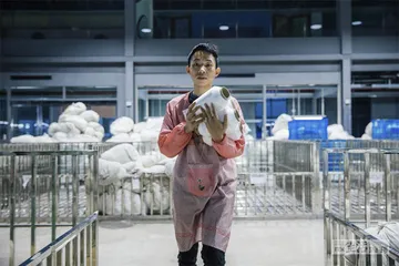 诸暨大唐：“国际袜都”的产业升级路