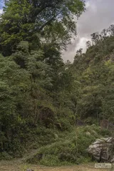 哀牢山四名调查员遇难：一次未完成的任务2