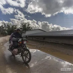 哀牢山科考40年：原始森林的价值与危险